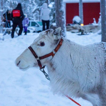 Skyfire Village Igloos Rovaniemi Exterior foto