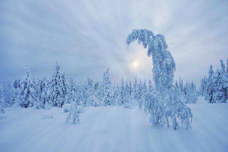 Skyfire Village Igloos Rovaniemi Exterior foto