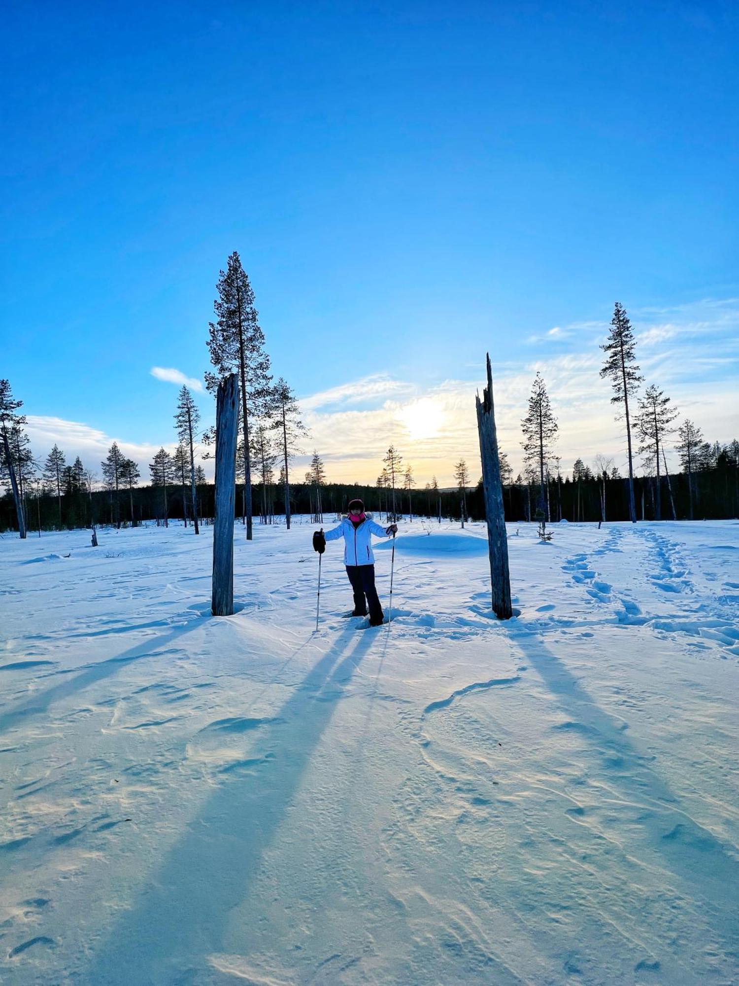 Skyfire Village Igloos Rovaniemi Exterior foto