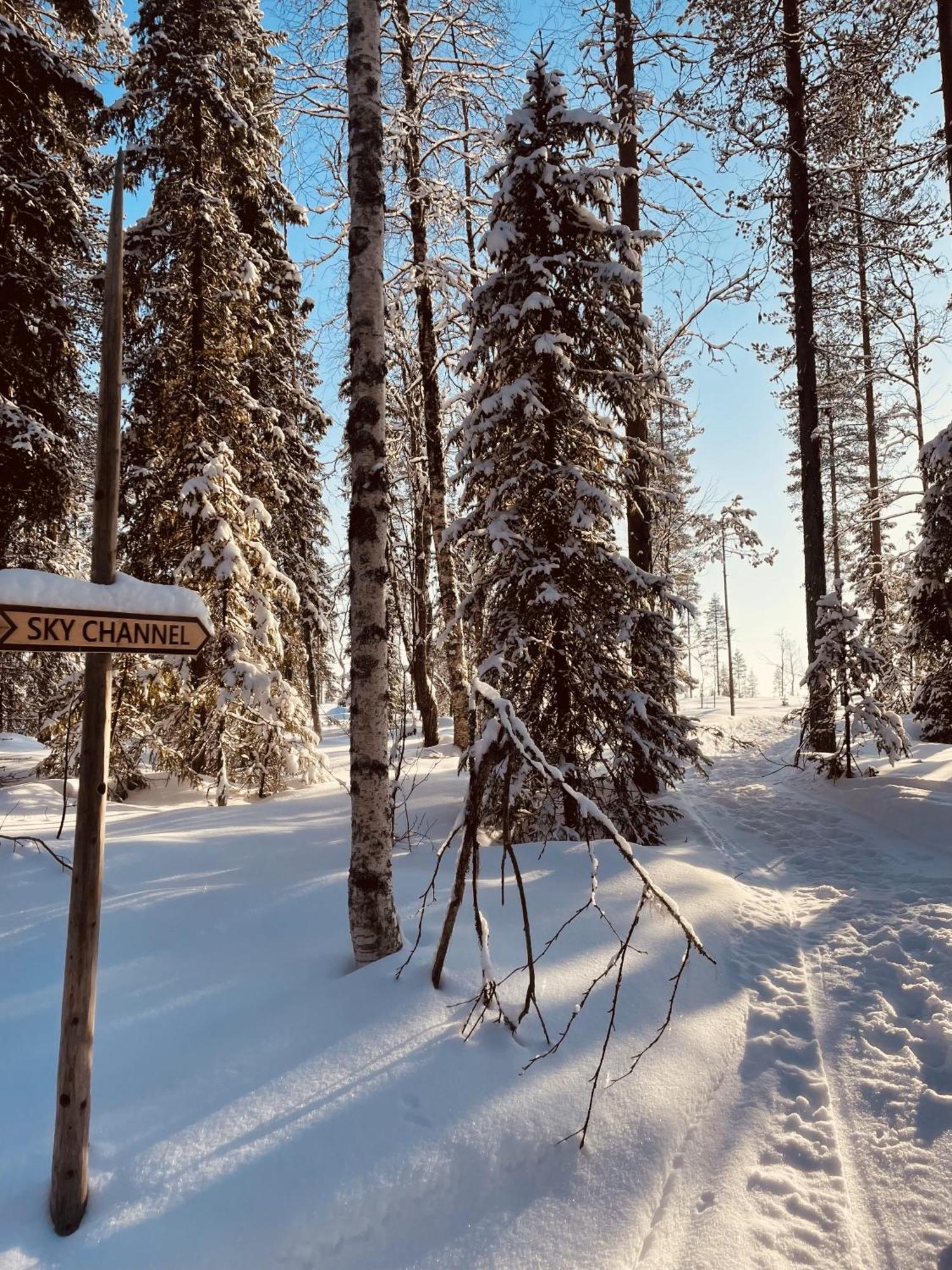 Skyfire Village Igloos Rovaniemi Exterior foto
