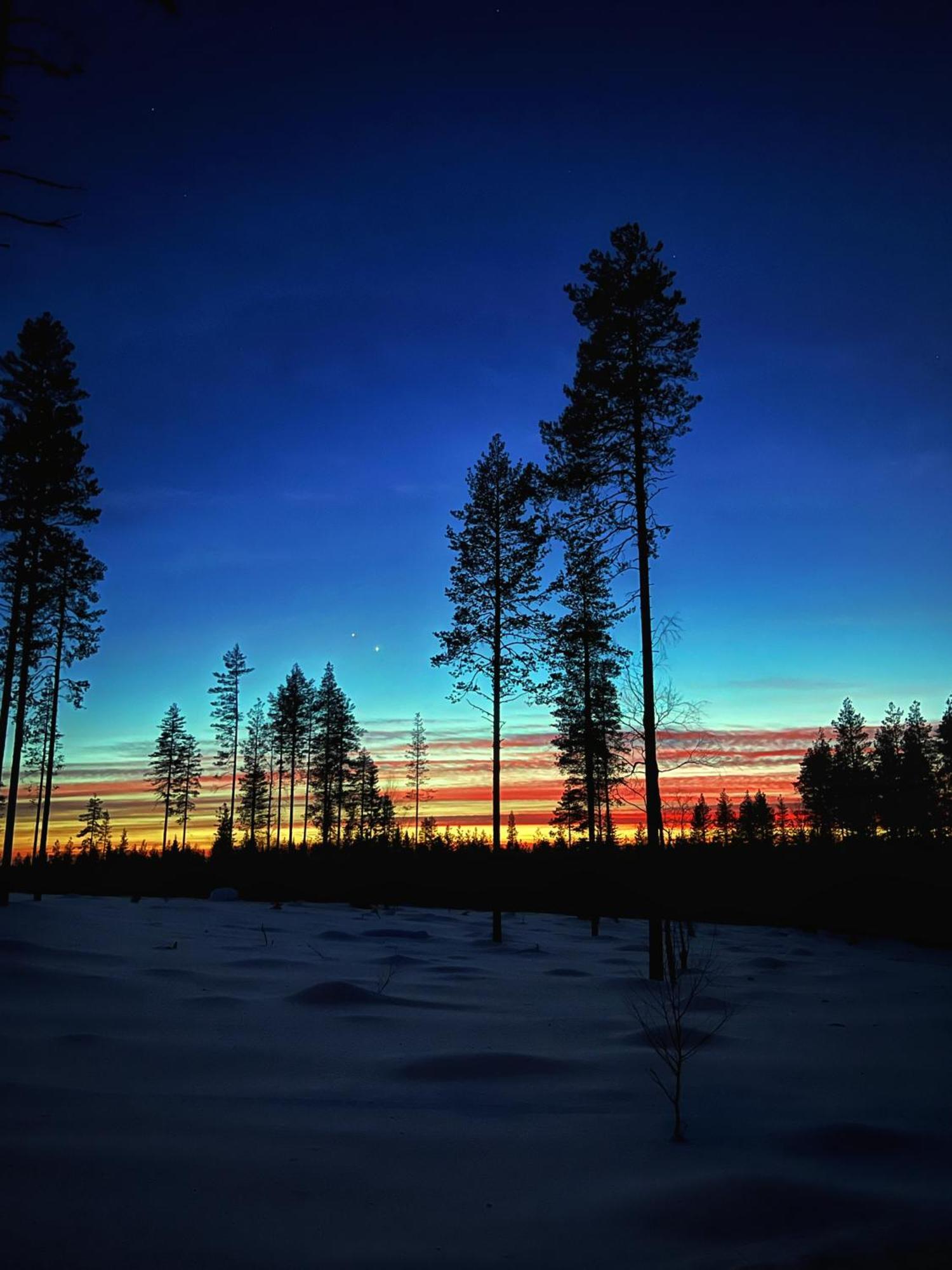 Skyfire Village Igloos Rovaniemi Exterior foto